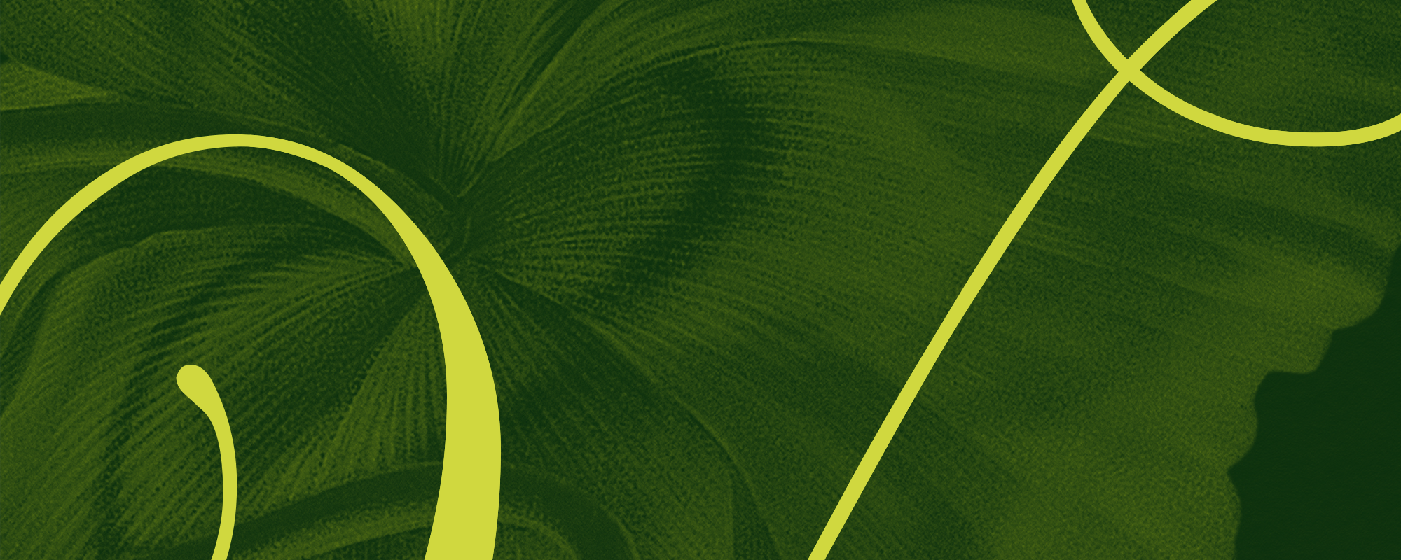 IC25_Et Voilà_Header